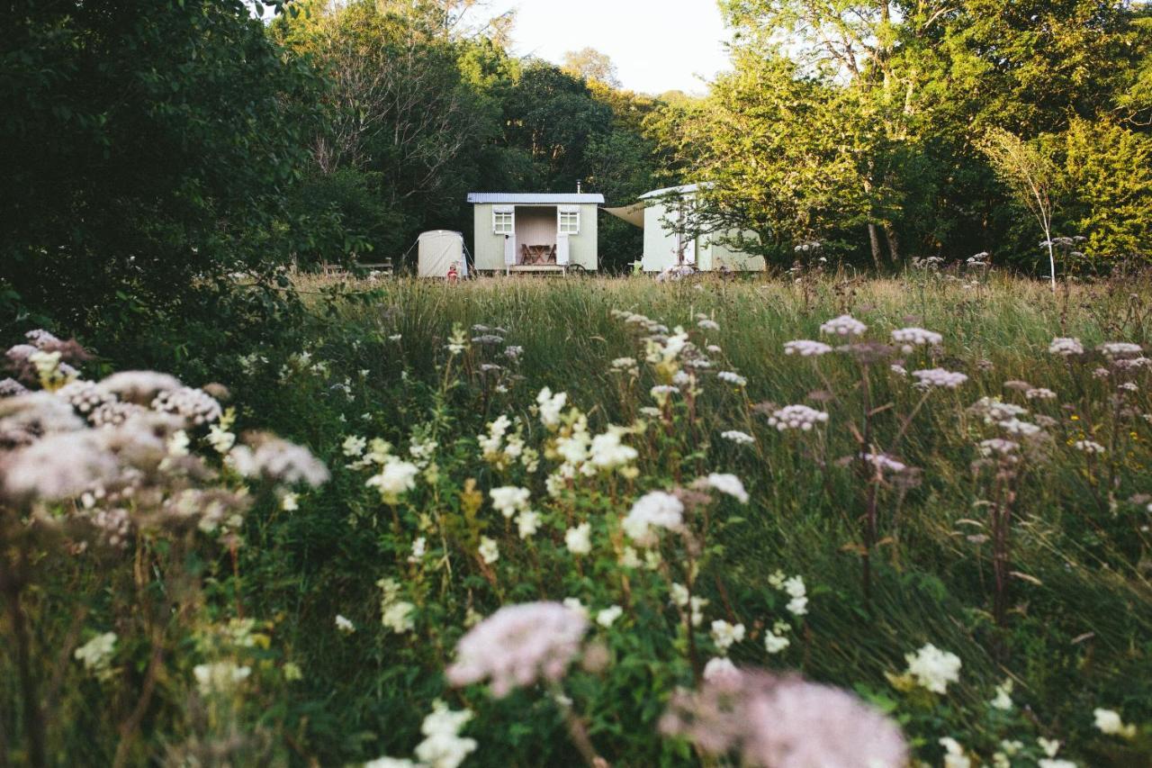 Snowdonia Shepherds' Huts Conwy Ngoại thất bức ảnh