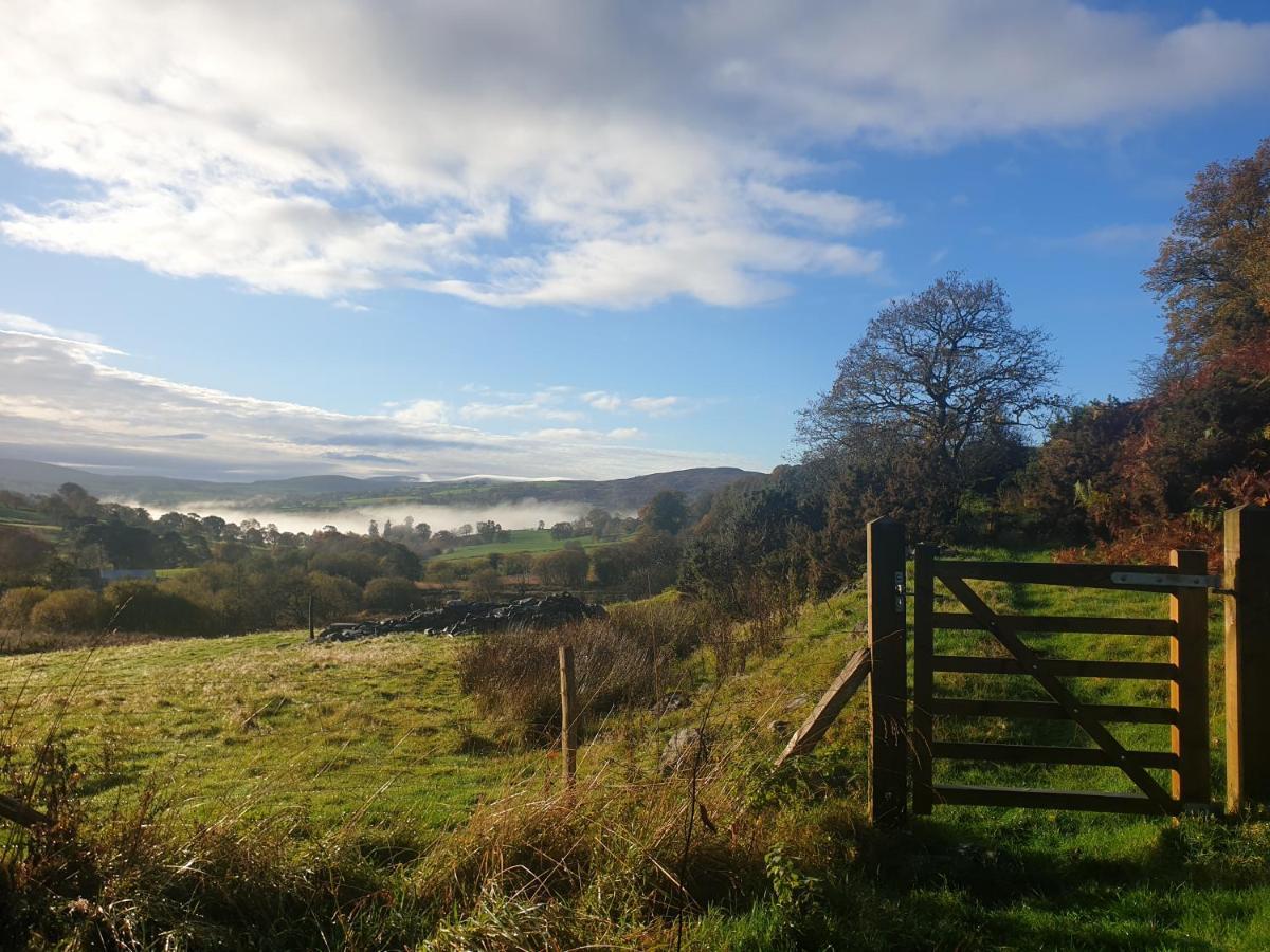 Snowdonia Shepherds' Huts Conwy Ngoại thất bức ảnh