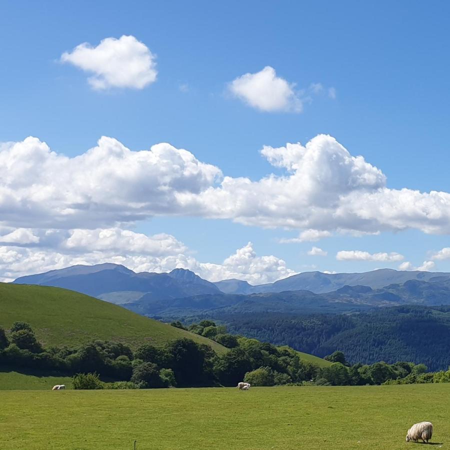 Snowdonia Shepherds' Huts Conwy Ngoại thất bức ảnh
